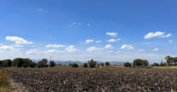 Mega Reserva Territorial Industrial y Logística (100 HA) Corredor Global Carretera 57 (Mex – Qro), Pedro Escobedo, Querétaro