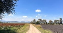 Mega Reserva Territorial Industrial y Logística (100 HA) Corredor Global Carretera 57 (Mex – Qro), Pedro Escobedo, Querétaro