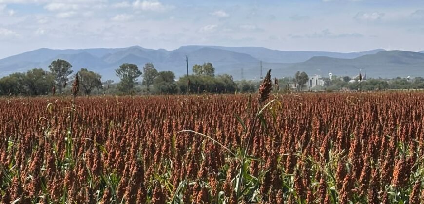 Mega Reserva Territorial Industrial y Logística (100 HA) Corredor Global Carretera 57 (Mex – Qro), Pedro Escobedo, Querétaro