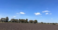 Mega Reserva Territorial Industrial y Logística (100 HA) Corredor Global Carretera 57 (Mex – Qro), Pedro Escobedo, Querétaro