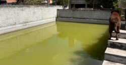 Venta de Terreno y Reserva Territorial (3.12 HA) con Derechos de Agua | Corredor Industrial Carretera 57 (Mex – Qro), La Palma, Pedro Escobedo, Querétaro.